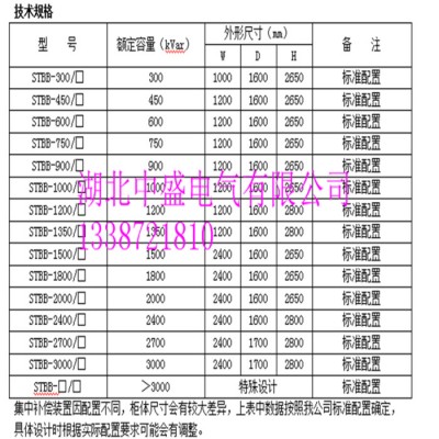 湖北中盛STBB 高壓電容補(bǔ)償柜_浙江