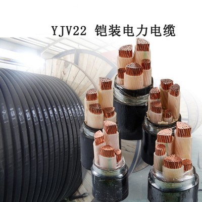 深圳金環(huán)宇電線電纜,YJV22電纜4*240