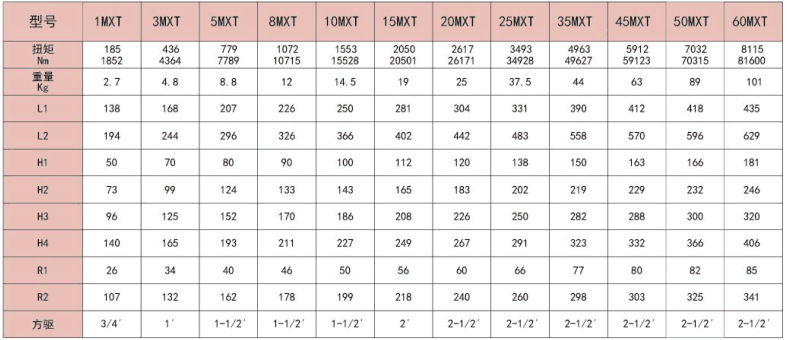 大MXT1