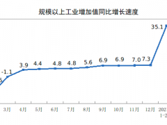 2021年1-2月份規(guī)模以上工業(yè)增加值增長(zhǎng)35.1%