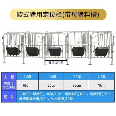 豬場妊娠初期母豬定位欄的安裝可定