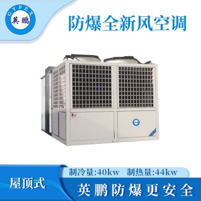 英鵬防爆全新風(fēng)屋頂式空調(diào)機-40KW