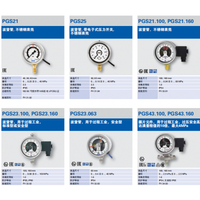 WIKA電接點(diǎn)的壓力表PGS21